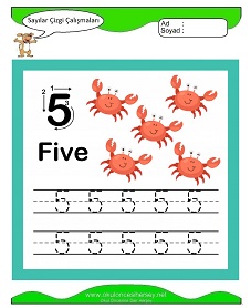 5 Rakamı Çizgi Çalışmaları Çalışma Sayfaları